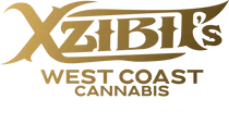 XZIBITS WCC