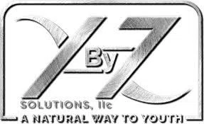 YbyZ Solutions