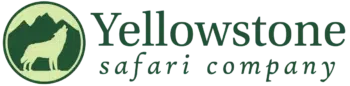 Yellowstone Safaris
