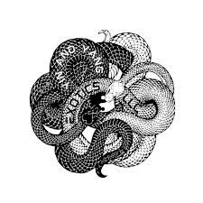 Yin and Yang Exotics