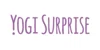 Yogi Surprise