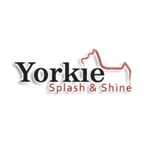 Yorkie Splash and Shine