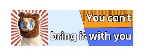You can't bring it with you Logo for Promo Codes
