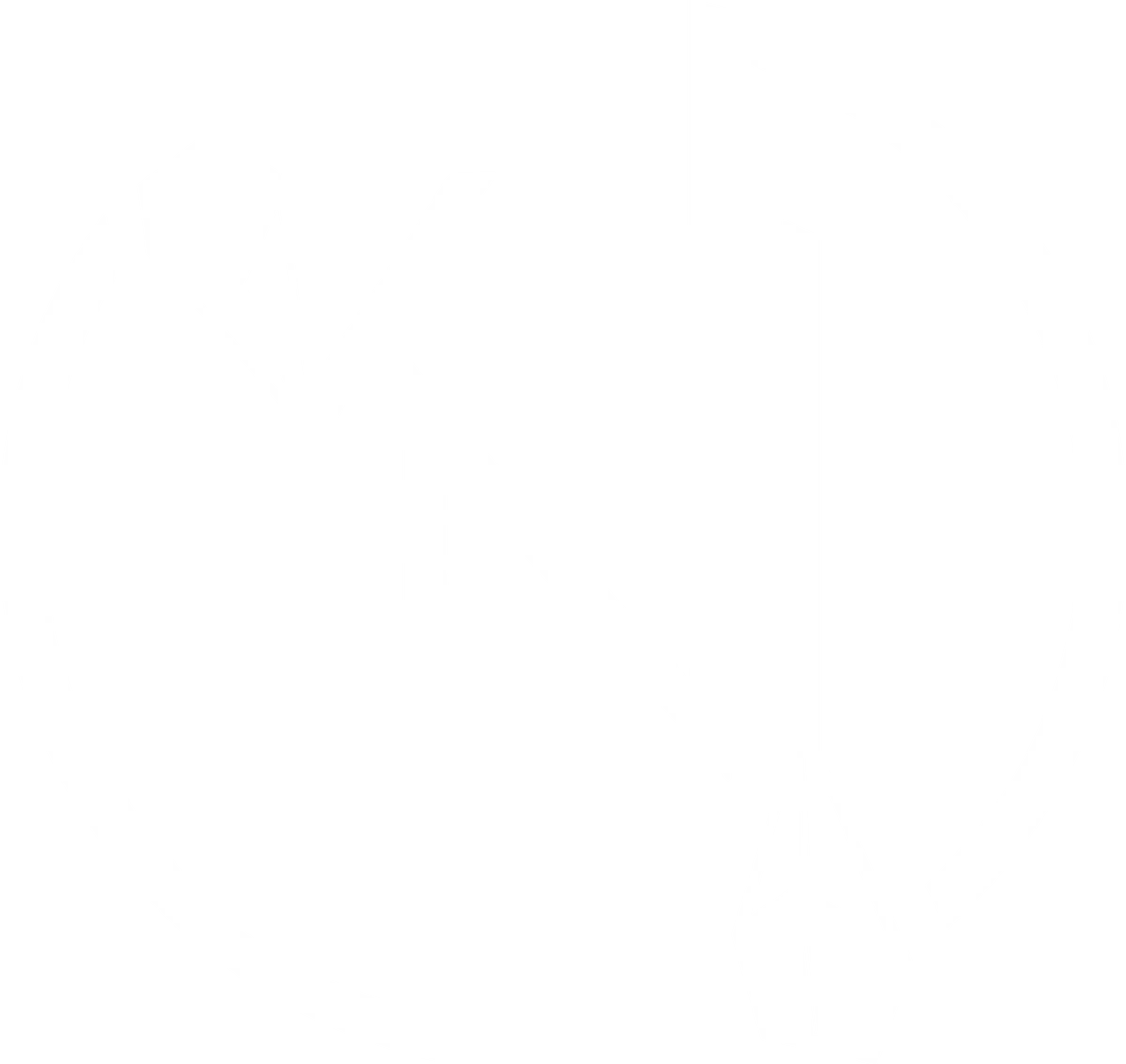 Young Native Designs Logo for Promo Codes