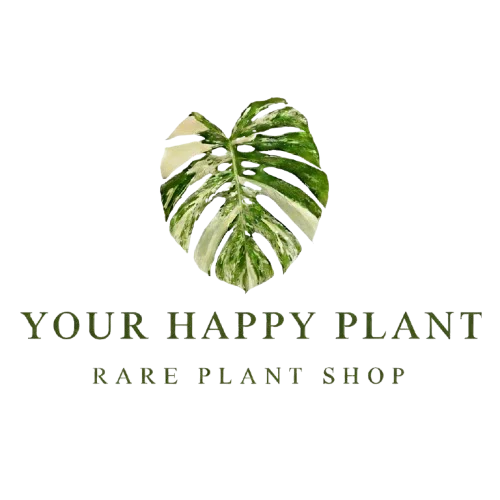 Your Happy Plant
