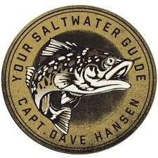 Your Saltwater Guide