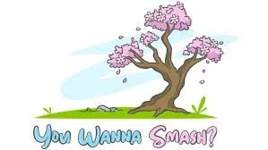 You Wanna Smash