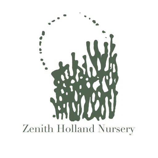 Zenith Holland Nursery