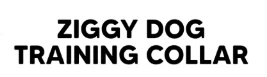 Ziggy Dog Training Collar