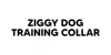 Ziggy Dog Training Collar