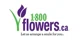 1-800-FLOWERS CA promo codes