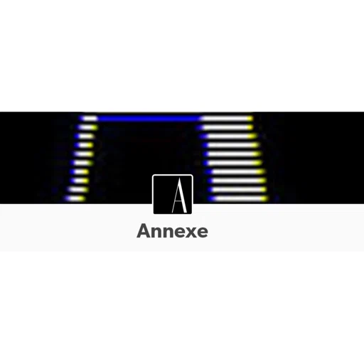 Annexe Magazine Coupons and Promo Code Annexe Magazine Coupons and Promo Code