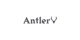 Antler promo codes