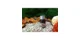 Aromatic & Healthy Products promo codes