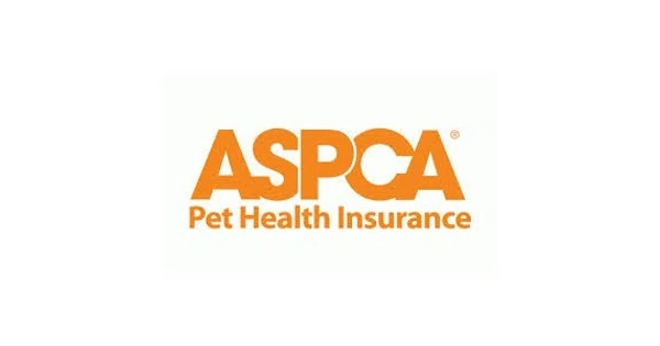 Recently analyzed sites: Compare Pet Insurance Plans