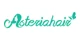 Asteria Hair promo codes