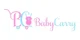 BabyCarry promo codes