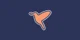 Birddogs Shorts promo codes