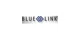 Blue Link Associates promo codes