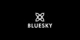 Bluesky Cosmetics promo codes