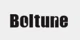 boltune promo codes