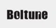Boltune promo codes