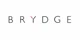 Brydge EU promo codes