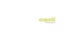 Capelli New York promo codes
