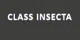Class Insecta promo codes