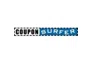 CouponSurfer promo codes