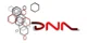 DNA promo codes