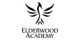 Elderwood Academy promo codes