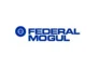 Federal Mogul promo codes