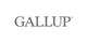 Gallup promo codes