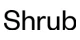 Shrub promo codes