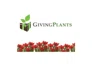 Giving Plants promo codes