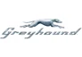 Greyhound promo codes