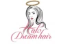 Halo Dream Hair promo codes