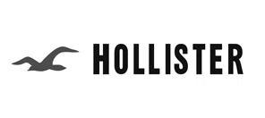 hollister 10 off