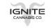 Ignite promo codes