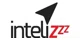 Intelizzz promo codes