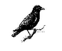 J. Crow's