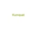 Kumquat promo codes