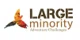 Large Minority Travel promo codes
