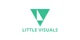 Little Visuals promo codes