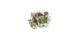 Live Green Mom promo codes