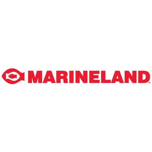 Below Standard Coupon Offer
