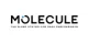 Molecule promo codes