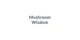 Mushroom Wisdom promo codes