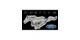 Mustang promo codes